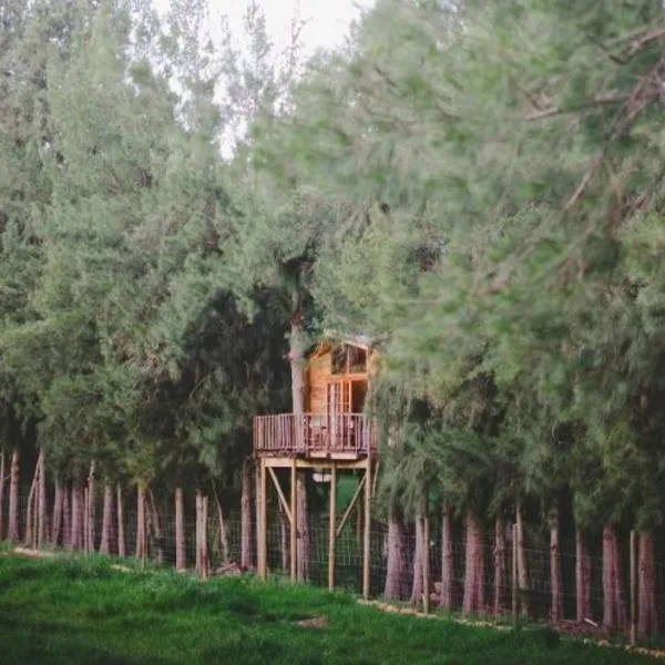 Vindoux Tree House Guest Farm & Spa，位于塔尔巴赫的酒店