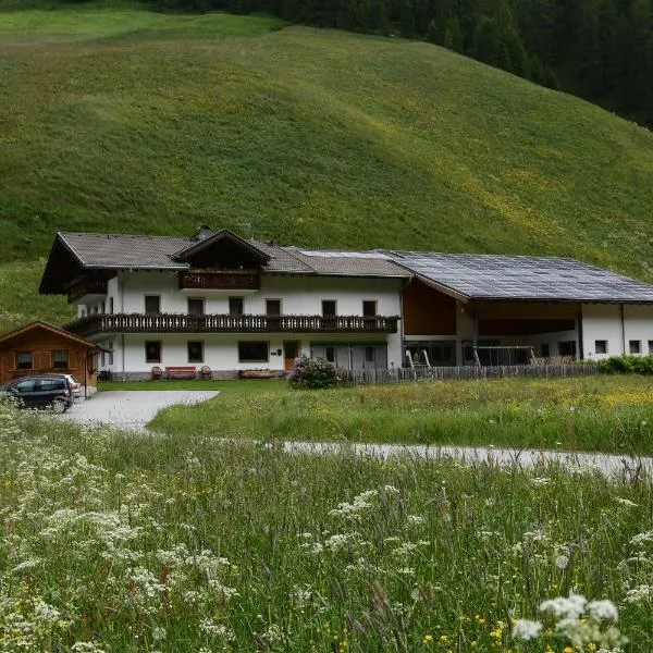 Ferienwohnungen Boarhof，位于San Giacomo Val di Vizze的酒店