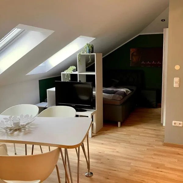 Moderne Dachgeschosswohnung an der Donau，位于Mariaposching的酒店