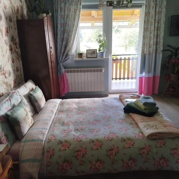 Retro apartament Lukas，位于Ostrowsko的酒店