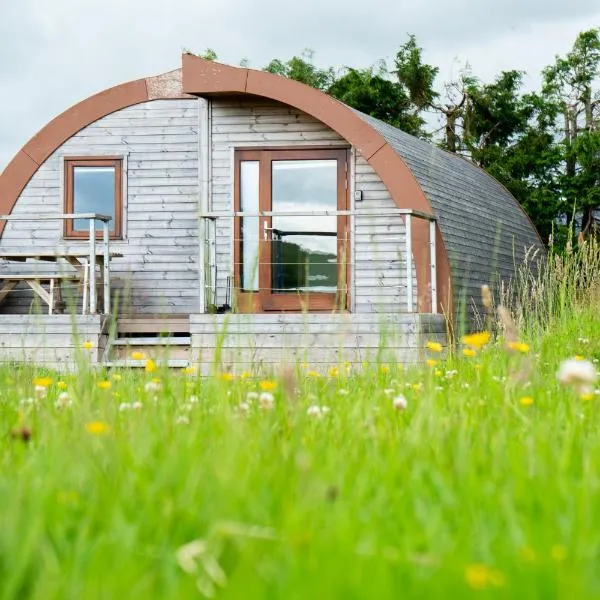 The Crossings Inn, Eco-friendly cabin in the Cumbrian countryside with heating and hot water，位于卡莱尔的酒店