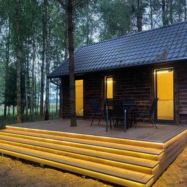 Pievu namelis，位于Venta的酒店