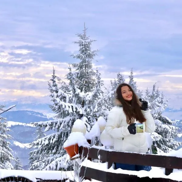 Irenne，位于珀尔蒂尼什的酒店