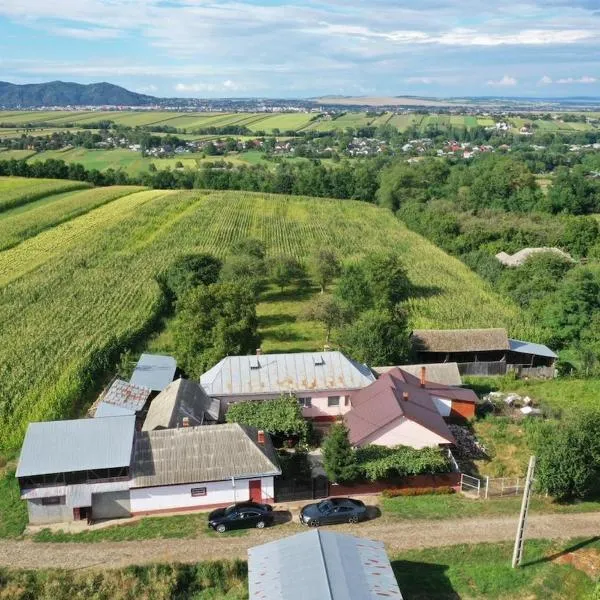 Lumea lui Creanga，位于Topoliţa的酒店