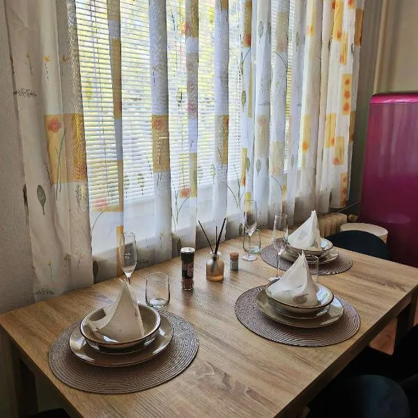 New fast apartment，位于莱维采的酒店