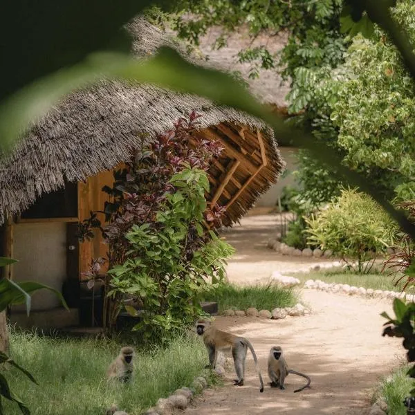 The Jungle Pearl Resort，位于姆托瓦姆布的酒店