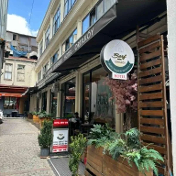 Berfinn Hotel Ortaköy，位于伊斯坦布尔的酒店