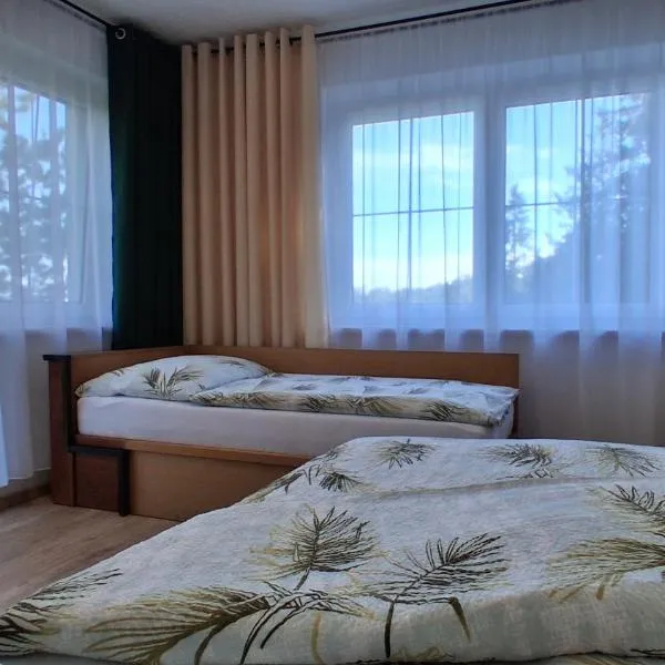 Penzion U Libuše Luleč，位于Luleč的酒店