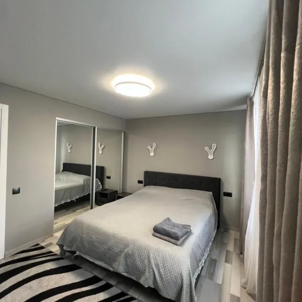 Apartament Edinet-единец，位于埃迪内茨的酒店