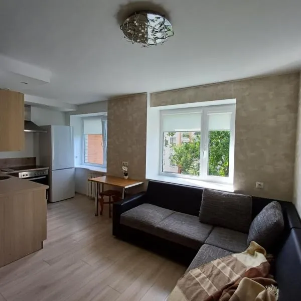 Narva mnt 28，位于约赫维的酒店