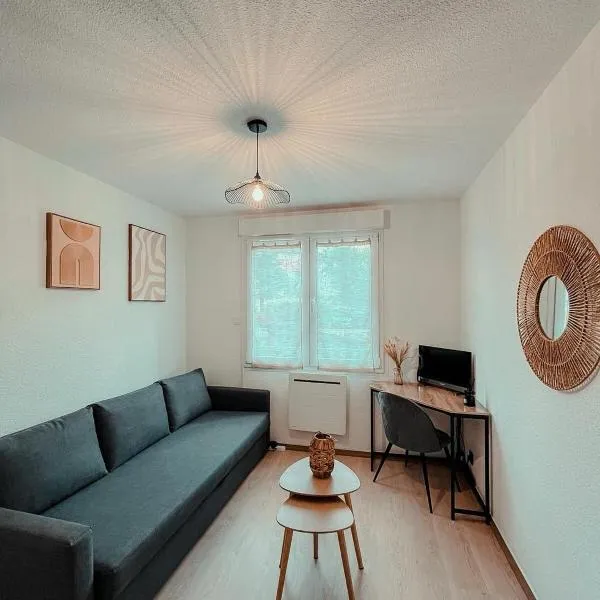 Studio du voyageur, Gare, Centre, Europole, CEA，位于格勒诺布尔的酒店