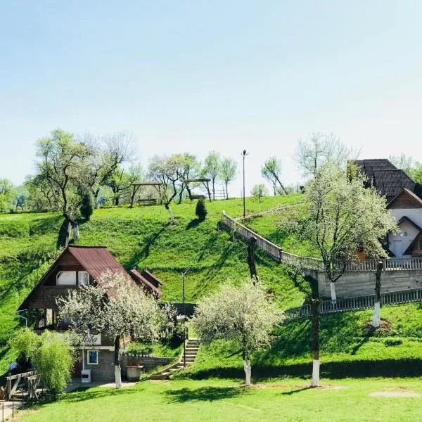 Pensiunea La Domnița，位于波耶尼莱伊泽的酒店