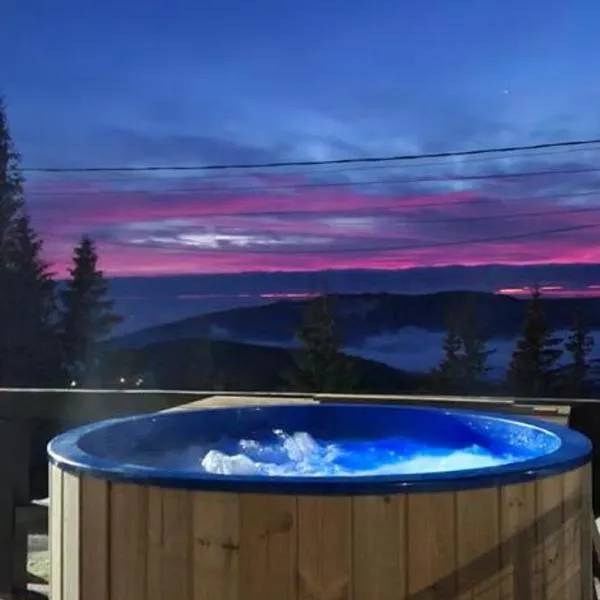 Pensiunea Alpin SPA，位于兰卡的酒店