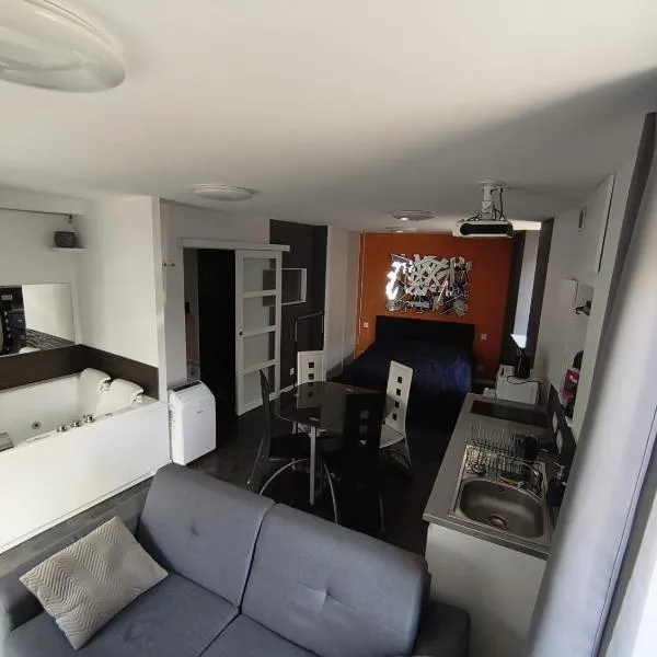 Studio meublé à proximité de la sortie d'autoroute de Feurs，位于Poncins的酒店