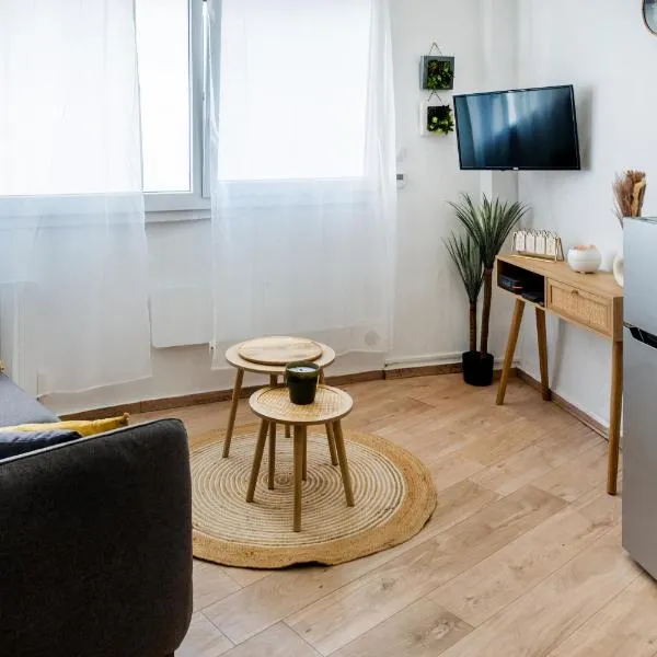 Le tilleul de LOURDES，位于卢尔德的酒店