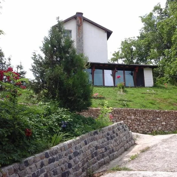 Casa Piscul Lupului，位于Costeşti的酒店