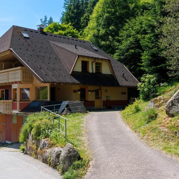 Hinterhauensteinhof，位于霍恩贝格的酒店