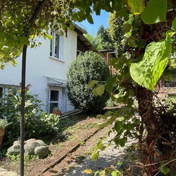 Ferienwohnung Utes Stube，位于新维德的酒店