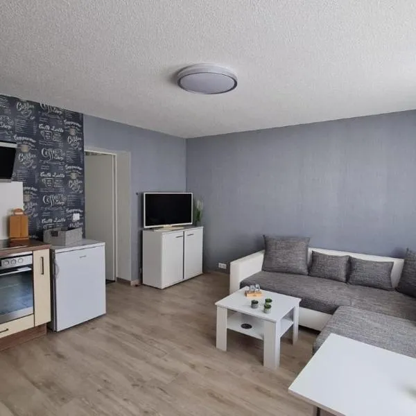 Ferienwohnung Blumenberg Hahn Grabenstraße，位于施塔斯富尔特的酒店