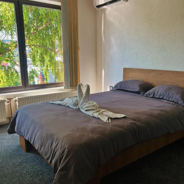 Apartman Alinac，位于察津的酒店