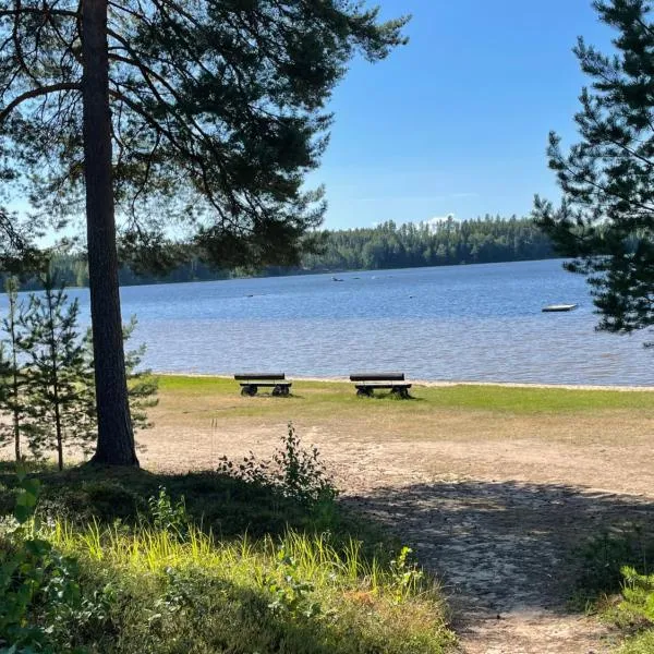 Joutiaisentie I 55 Forest apartment，位于Joutsa的酒店