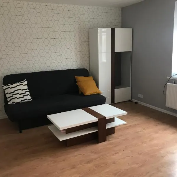 Apartament Konopnicka Szczytno，位于什奇特诺的酒店