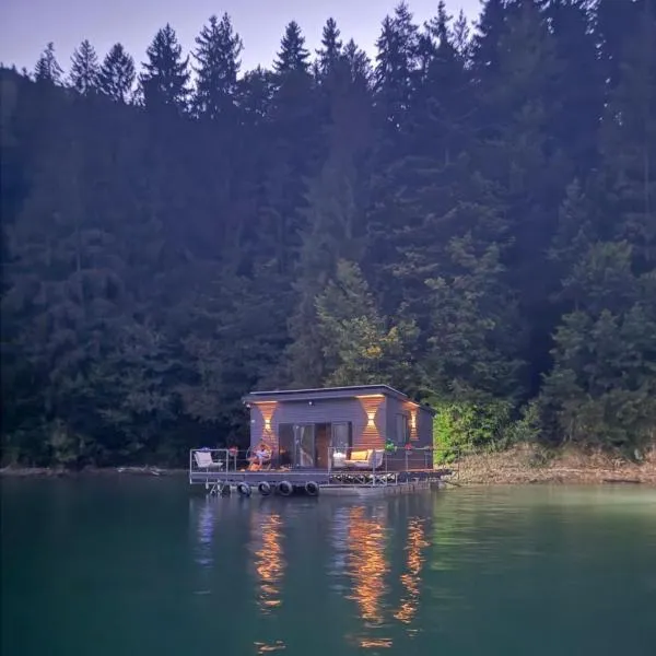 Maya Lake House Ponton Bicaz，位于Cîrnu的酒店