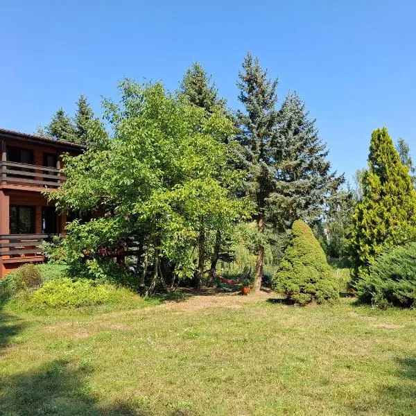 Dom Wakacyjny z ogromnym ogrodem，位于Witaszyn的酒店