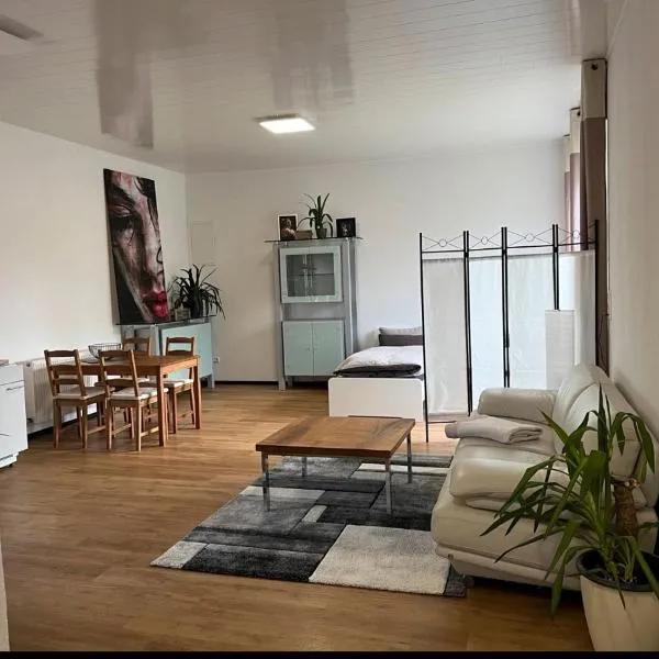 Apartment，位于Edemissen的酒店