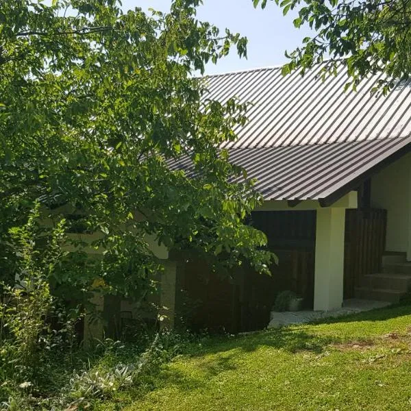 Mirni kutak，位于Donje Pazarište的酒店