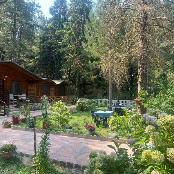 Bujtina Uji I Panjes, LLOGARA，位于伏罗拉的酒店