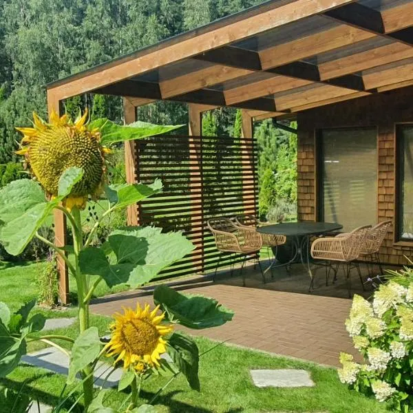 Sauna2relax，位于Šveicarija的酒店