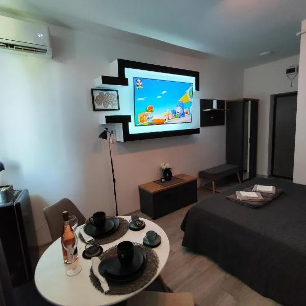 La Srour，位于奥内什蒂的酒店