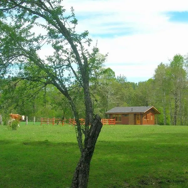 Cabañas Valle del Río，位于Los Raulíes的酒店