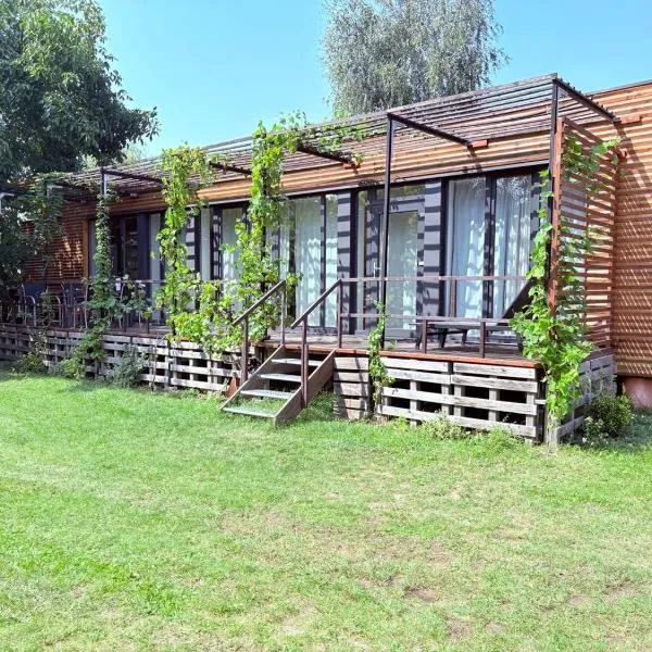 Tinyhaus Arendsee in Seenähe，位于阿伦策的酒店