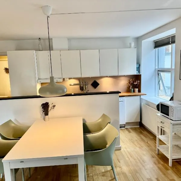 Central lejlighed med tag-terrasse，位于奥胡斯的酒店
