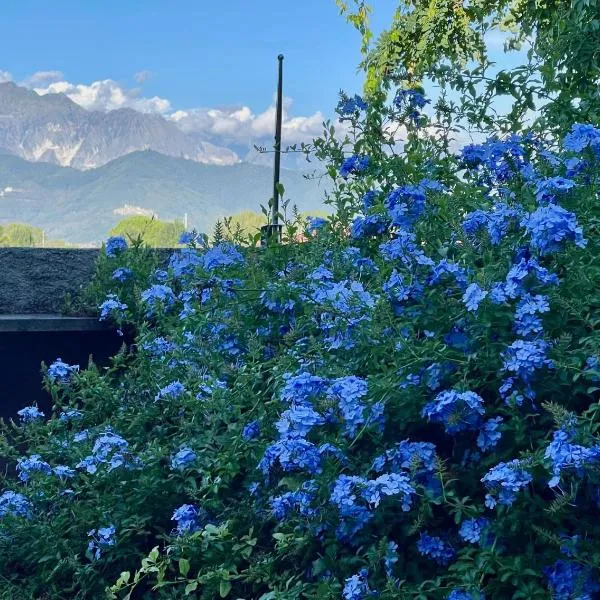 plumbago blue，位于阿梅利亚的酒店