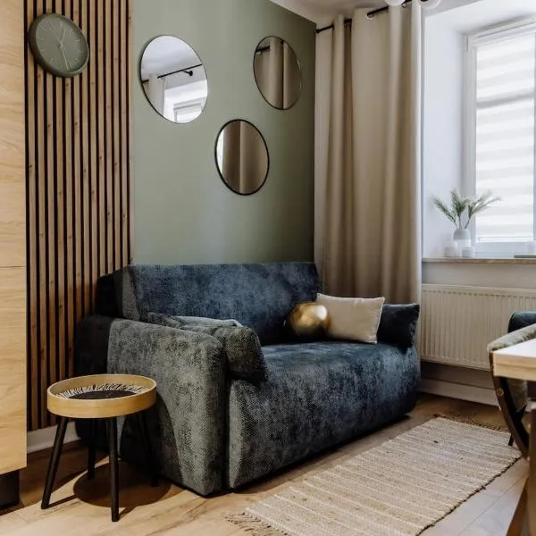 Nook Apartment Zamość Old Town，位于扎莫希奇的酒店