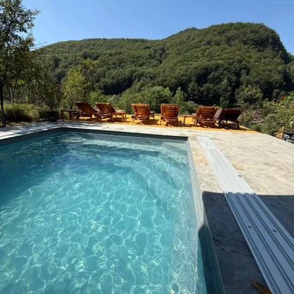 Pensiunea Berg Hill，位于百乐·奥拉内斯蒂的酒店