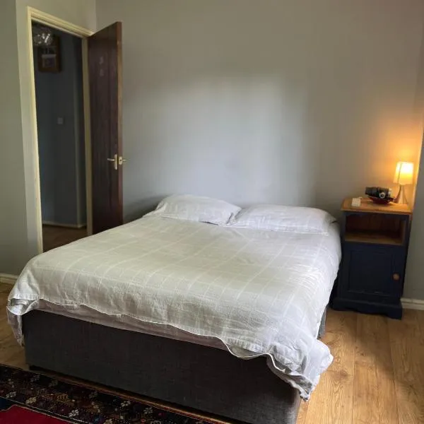 Private Room Near Airport, The Rabbit & Hilton Templepatrick Ideal for Spa, Weddings & Stopovers，位于坦普尔帕特里克的酒店