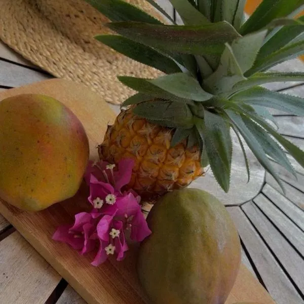 Ti’Bou des Îles de Guadeloupe，位于勒穆莱的酒店