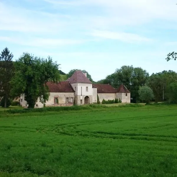 Chateau Des Roises，位于Marcilly-le-Hayer的酒店