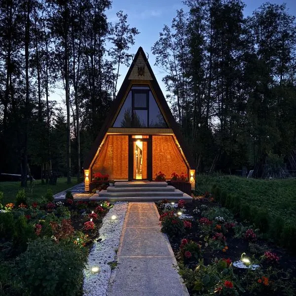 Căsuța din poiană，位于Dorna Cîndrenilor的酒店