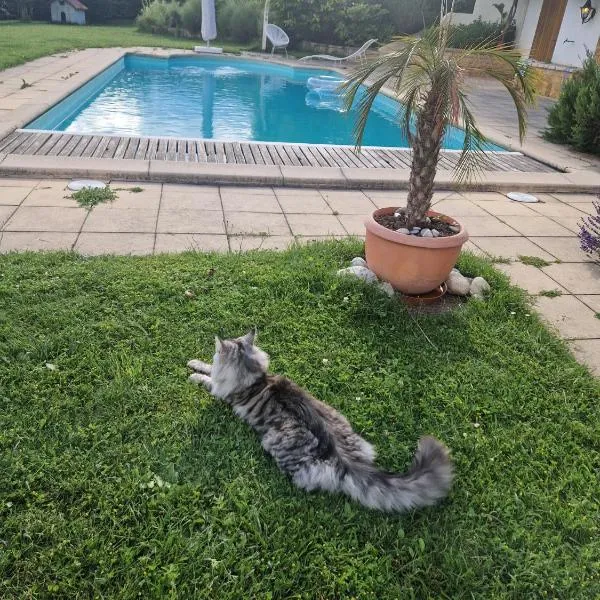 Alps and Lakeview Villa with Pool，位于Haut-Vully的酒店