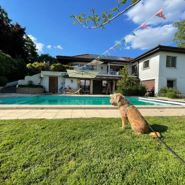 Alps and Lakeview Villa with Pool，位于Haut-Vully的酒店