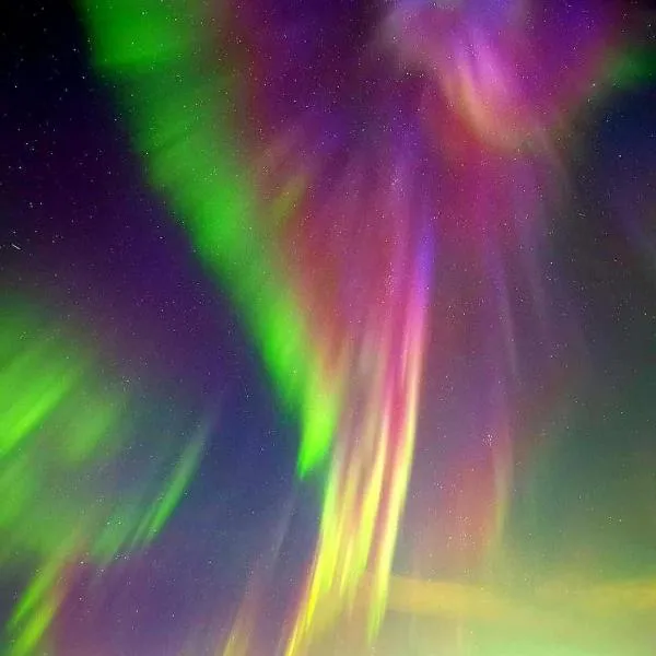 Artic Dream，位于Gratangen的酒店