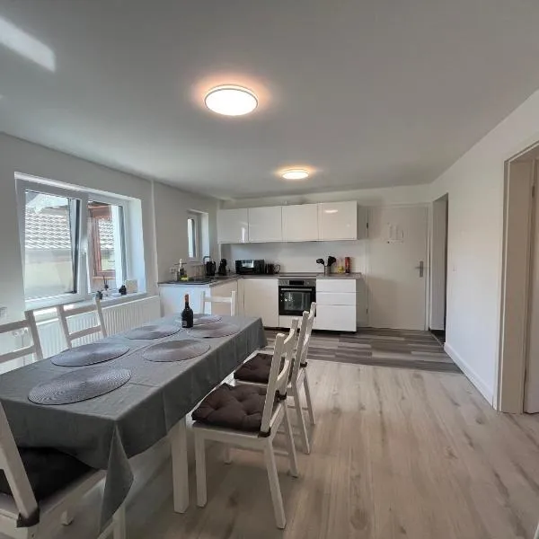 Black Forest Gate Apartment，位于Schellbronn的酒店