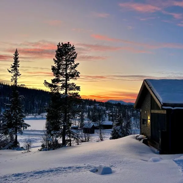 Brand new cabin on the sunny side of Gaustatoppen with a beautiful view，位于Tuddal的酒店
