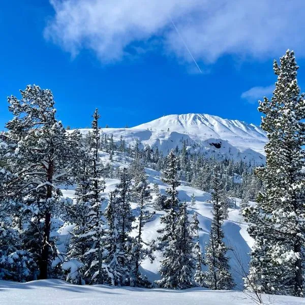 Gausta View，位于Gaustablikk的酒店