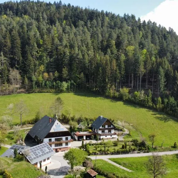 Waldbauernhof，位于霍恩贝格的酒店